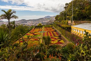 Point of interest - Dorisol Estrelicia Hotel (Funchal)