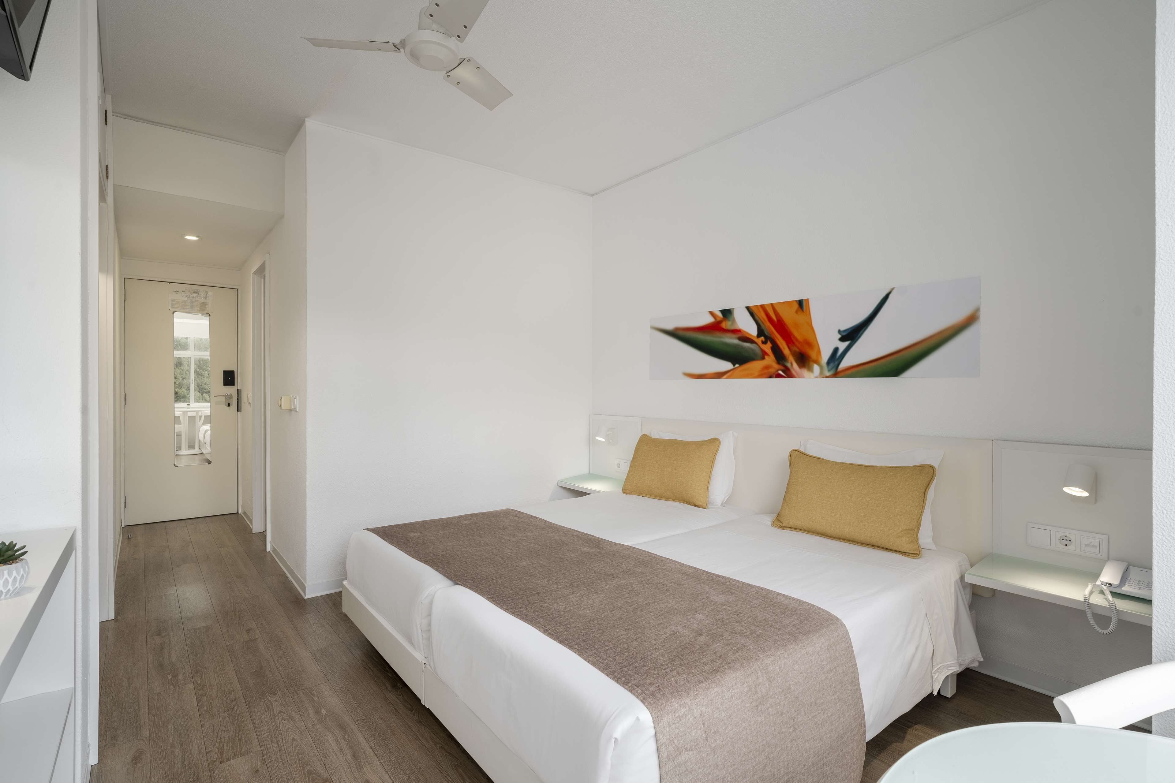 A hotel room with a large bed, a bedside table, a desk, and a ceiling fan.