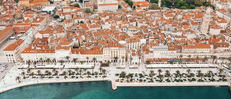 An aerial view of a coastal city with historic buildings, a waterfront promenade, and palm trees.