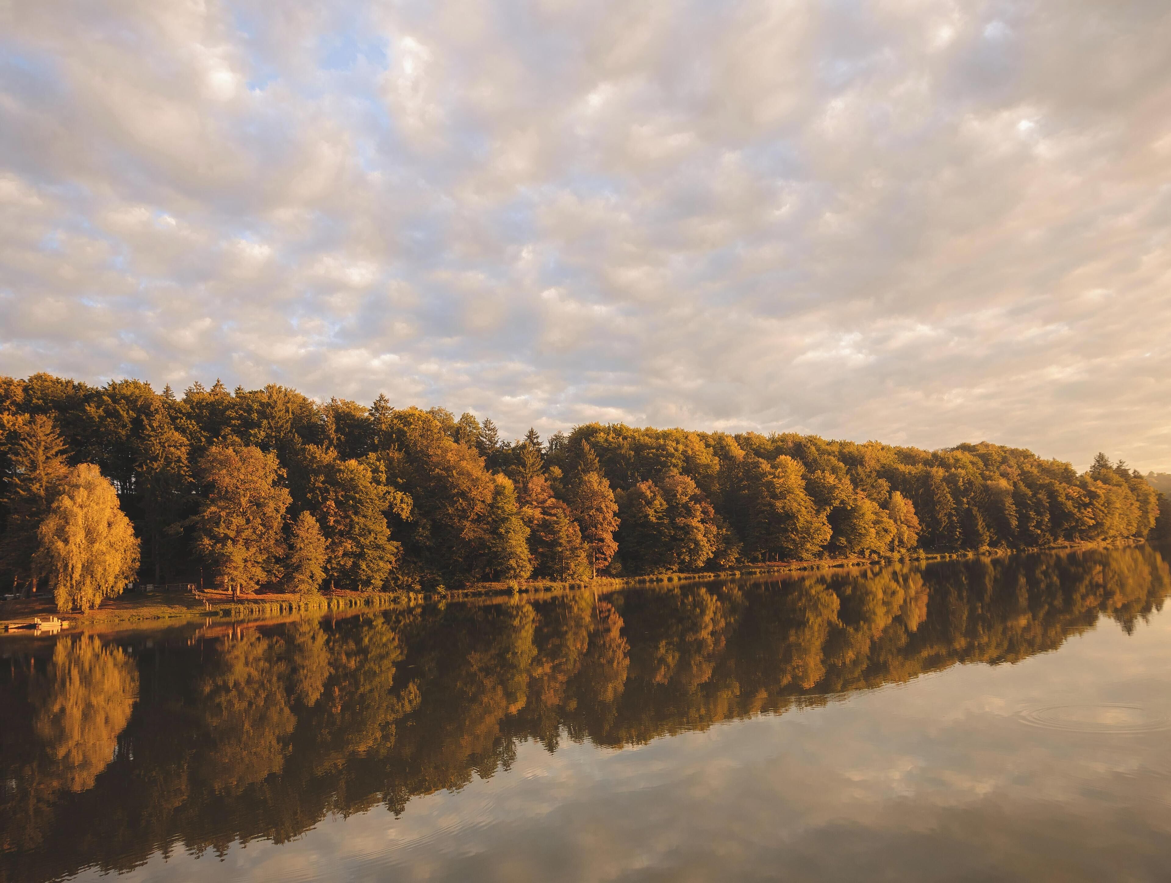 A calm lake reflecting a forested landscape with a clear sky above.
