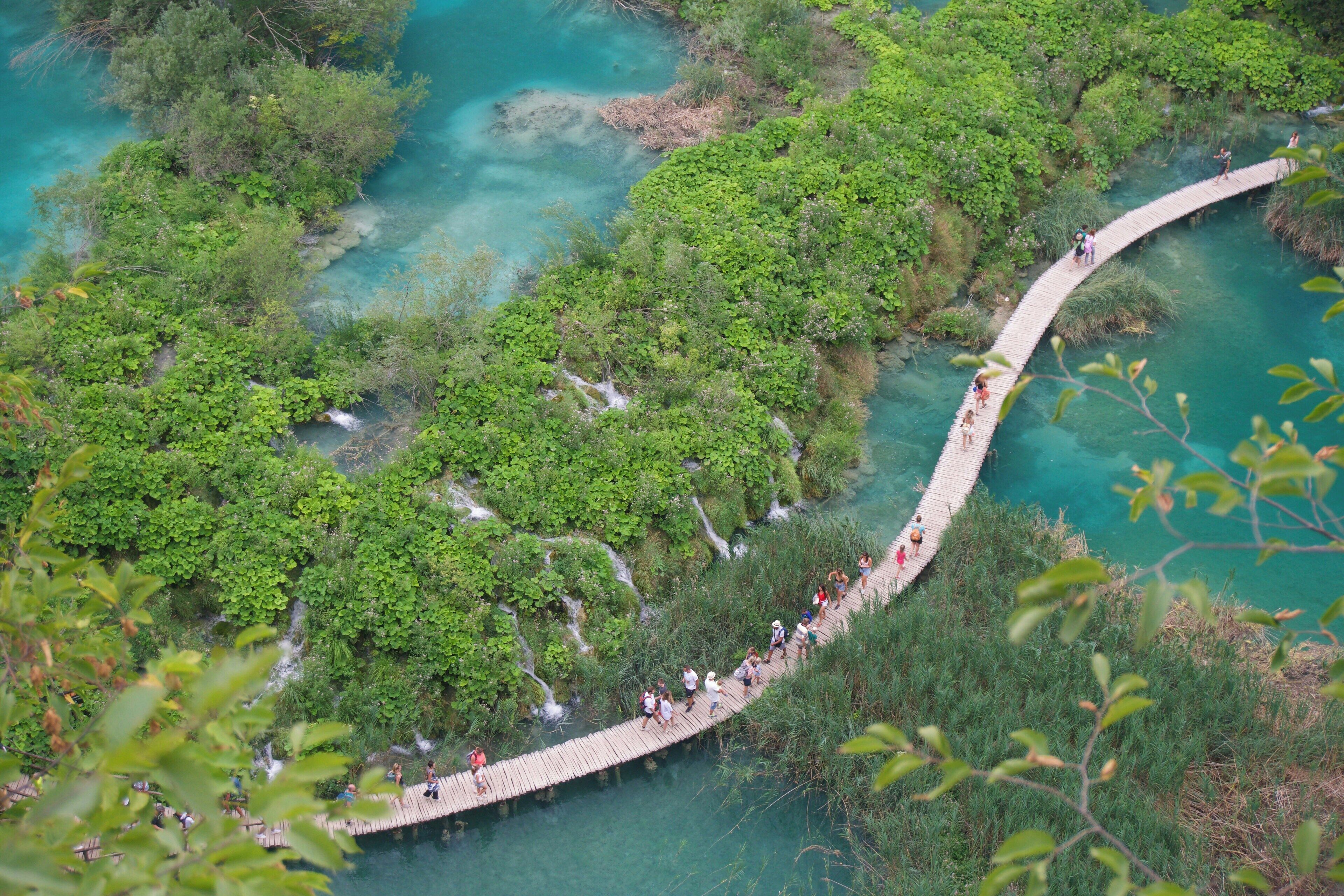 A wooden bridge over a river surrounded by lush greenery.