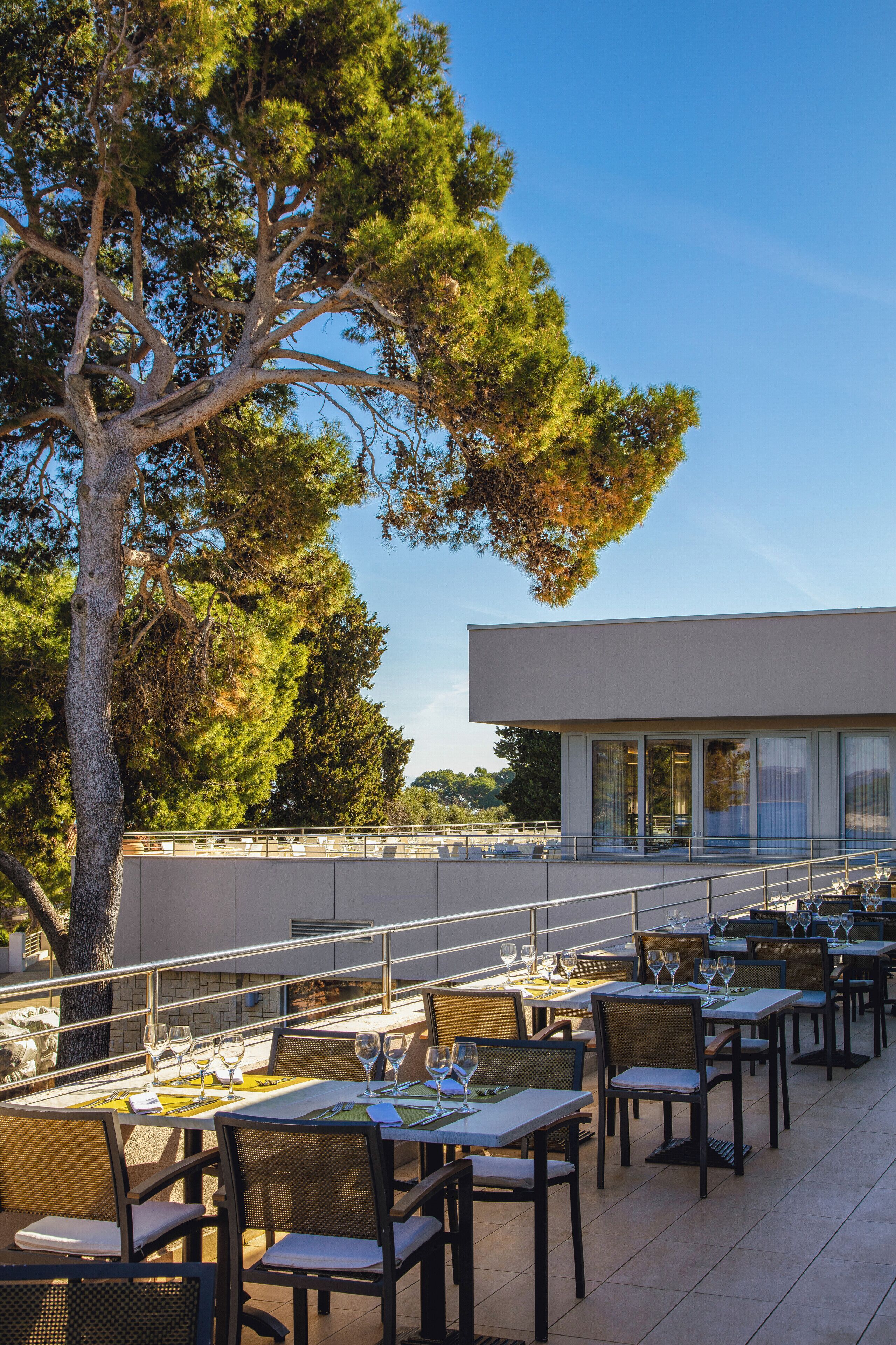 An outdoor dining area with tables and chairs, a large tree, and a modern building in the background.
