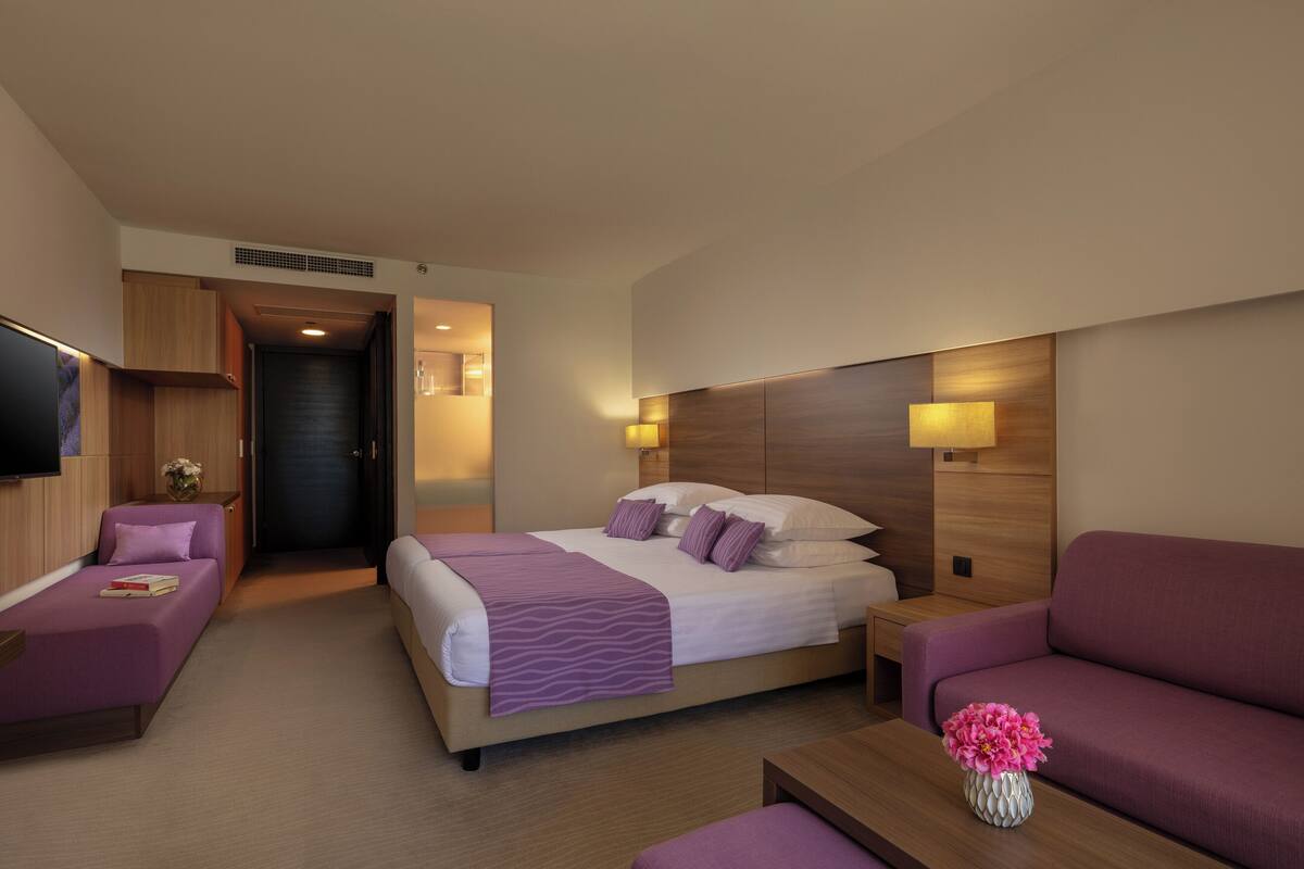Una habitación de hotel con una cama, un sofá, un televisor y un jarrón con flores.
