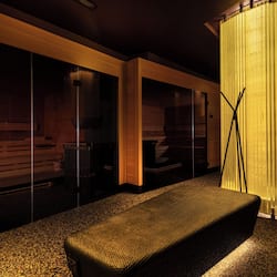 Sauna, tab panas, mandi tangas / hammam, rawatan badan, hidroterapi