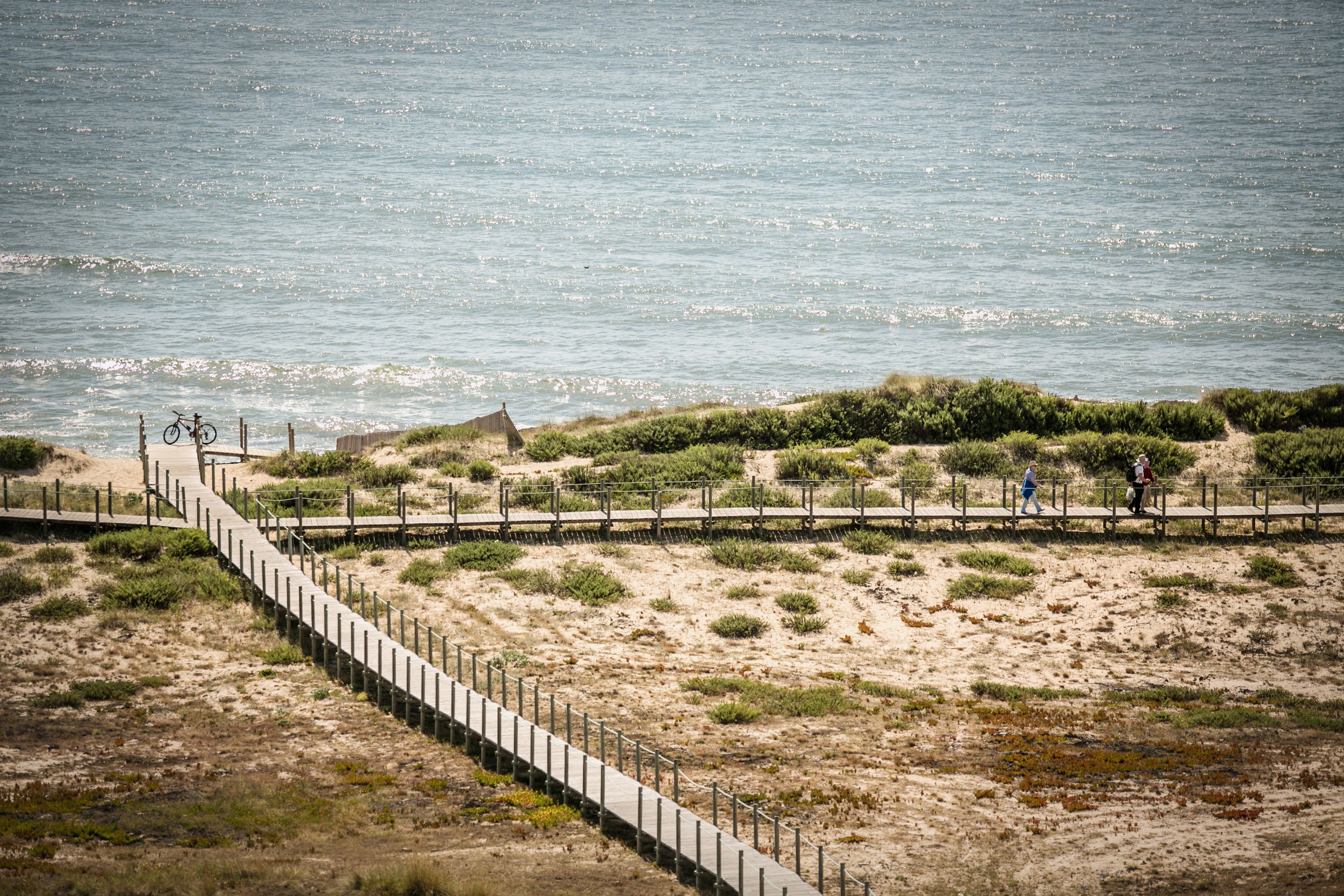 Un camino costero con valla de madera que conduce a una zona de playa con vegetación escasa.