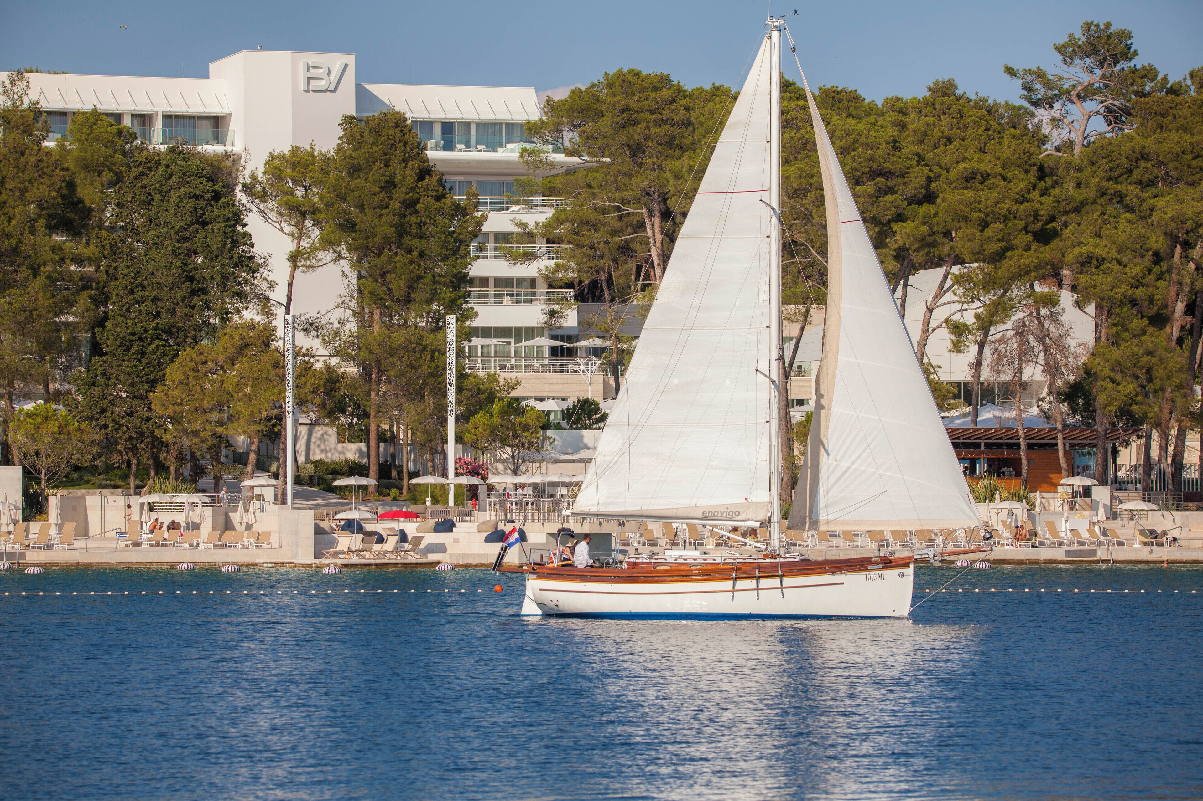 Un velero con vela blanca sobre agua, rodeado de árboles y edificios.
