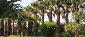 Hotel Il Gelso Bianco