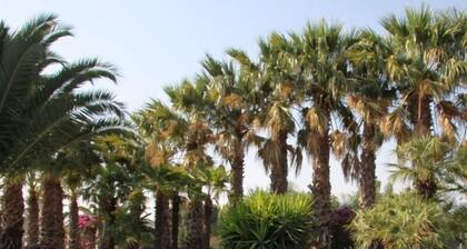 Hotel Il Gelso Bianco