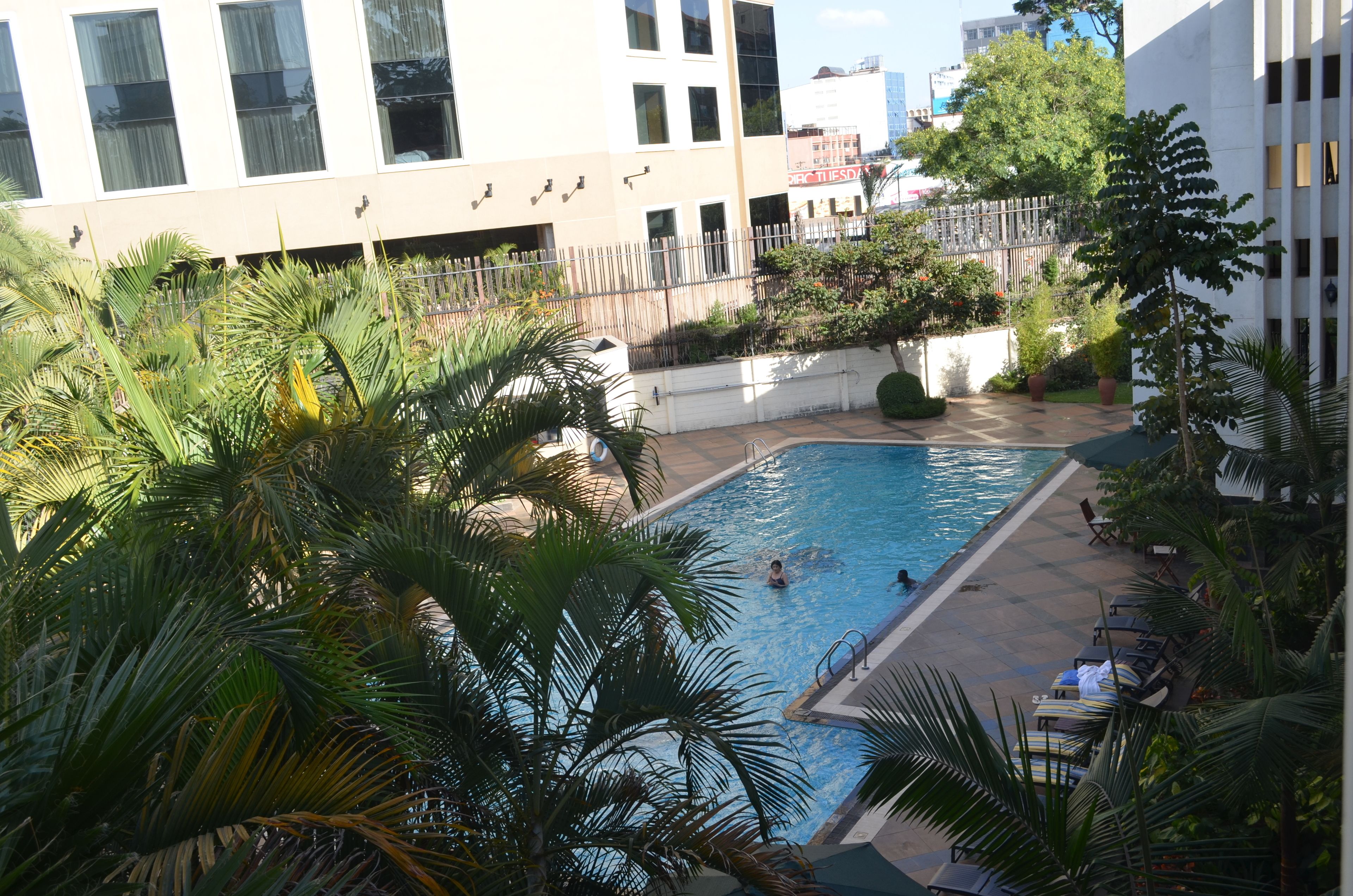 Outdoor pool, pool umbrellas, sun loungers