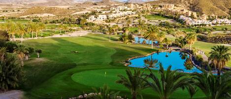 A golf course with a pool, palm trees, and a residential area in the background.