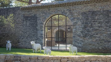 Jardines del alojamiento