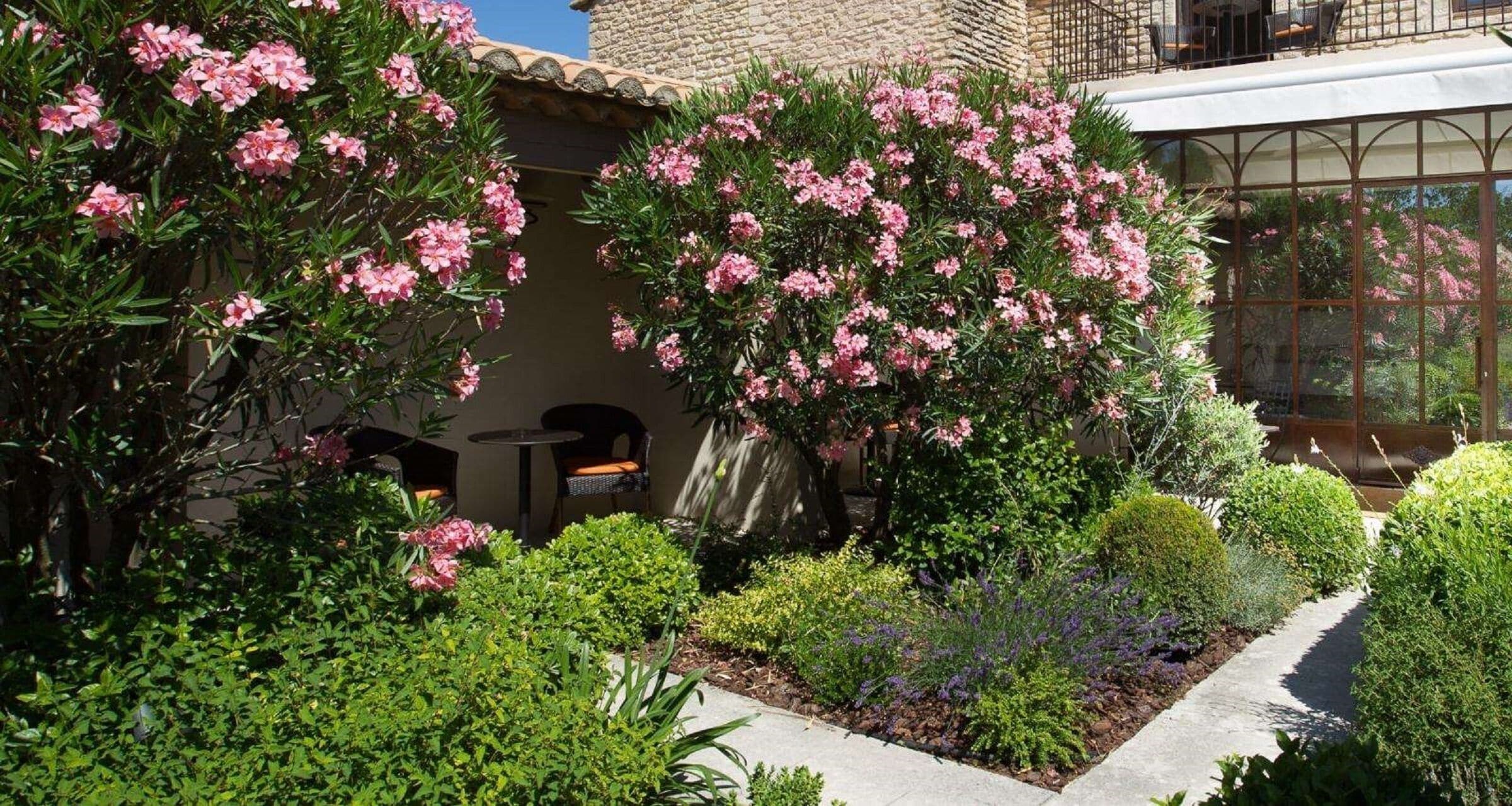 A garden with pink flowering plants, a patio with outdoor furniture, and a building with a stone facade.