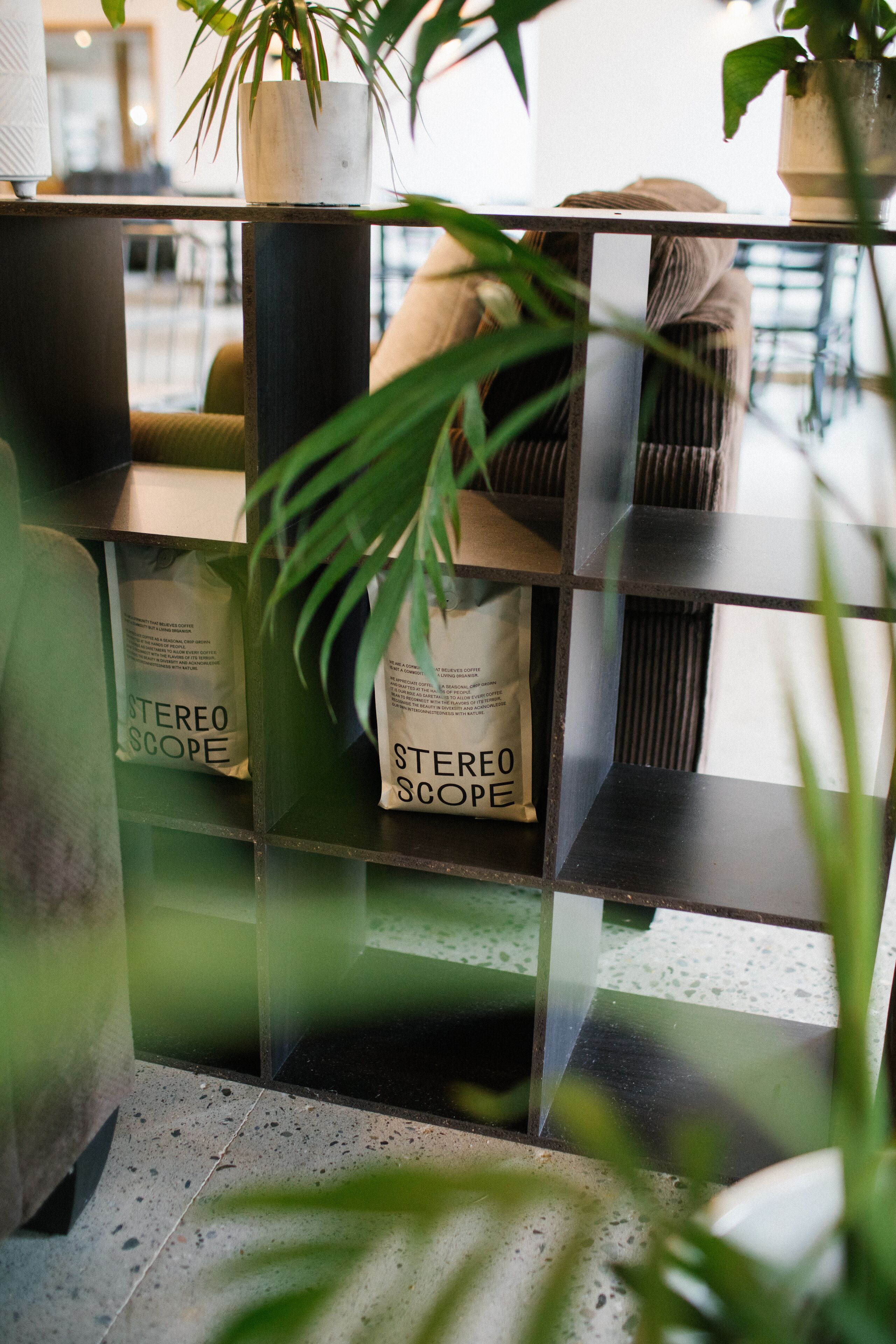 A shelf with bags labeled "STEREO SCOPE" and a potted plant.