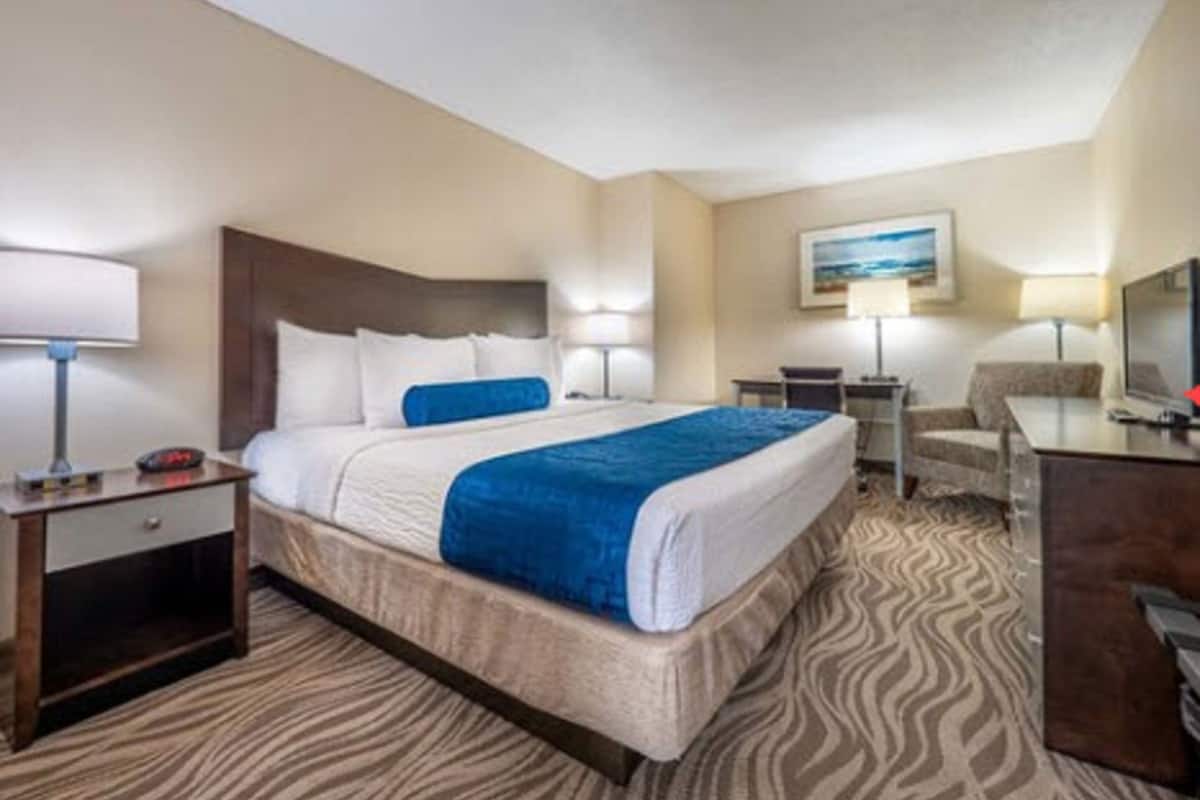 Standard Suite, 1 King Bed (King Suite) | In-room safe, blackout drapes, iron/ironing board, free WiFi