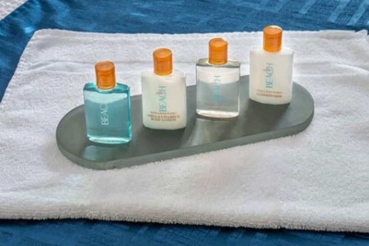 combined shower/bathtub, free toiletries, hair dryer, towels