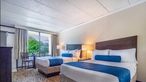 Habitación de hotel con dos camas, un escritorio y vista a zonas verdes.