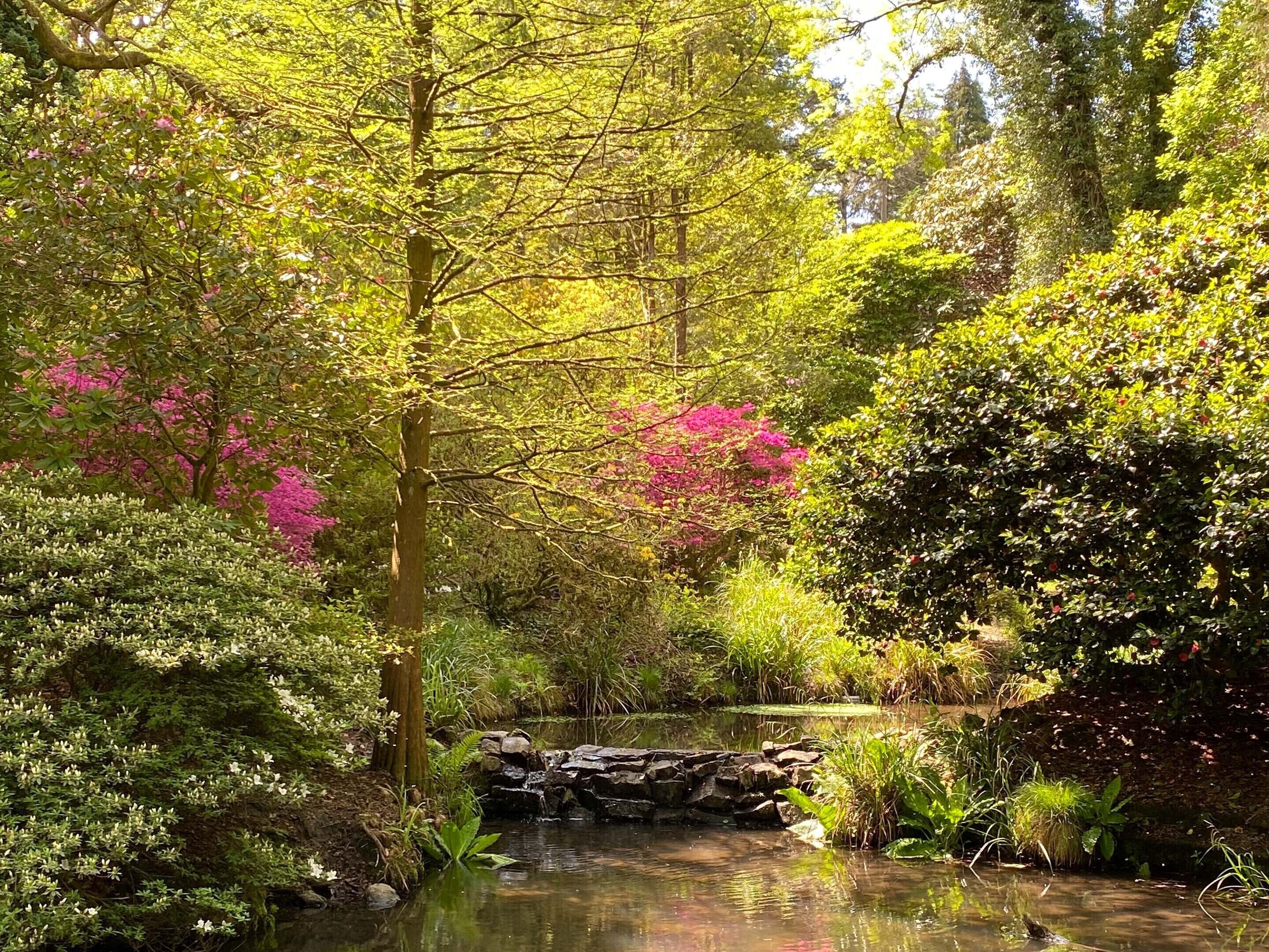 children’s activities