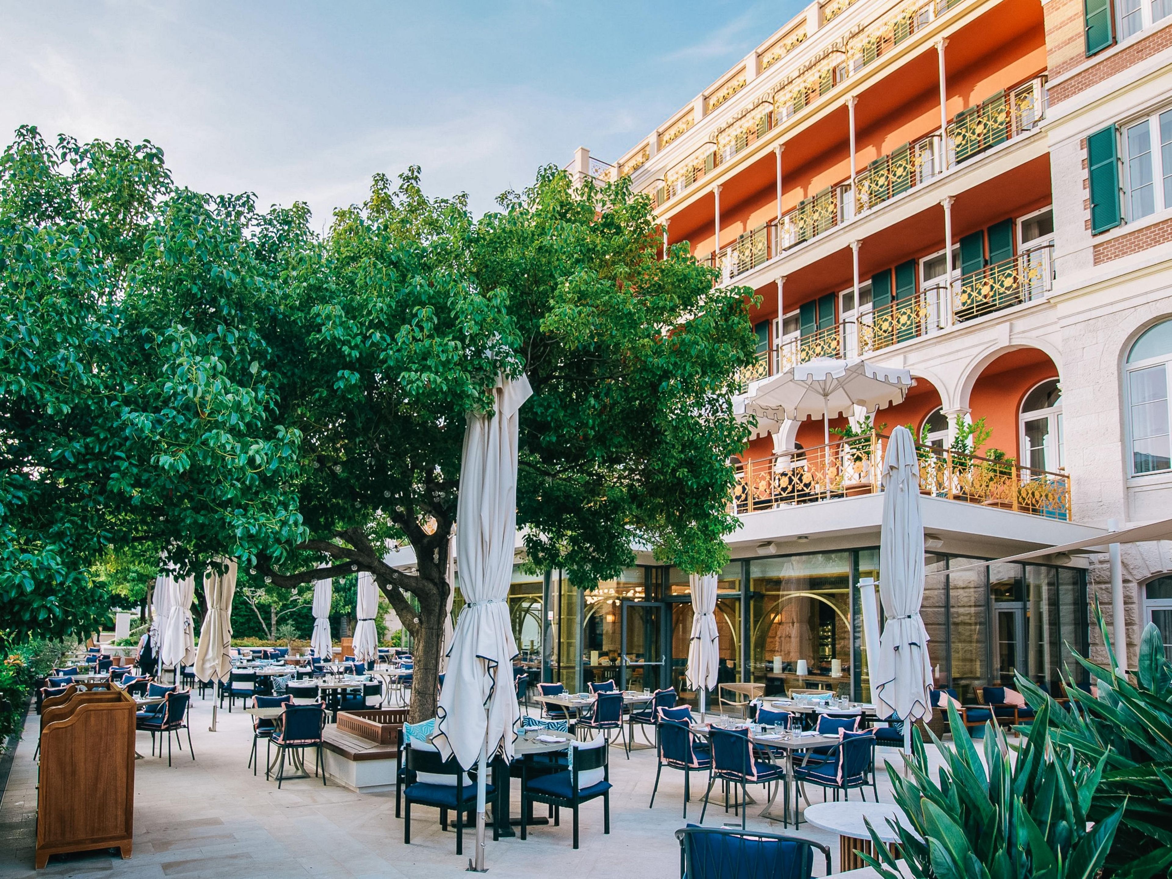 An outdoor dining area with tables and chairs, umbrellas, and a large tree.
