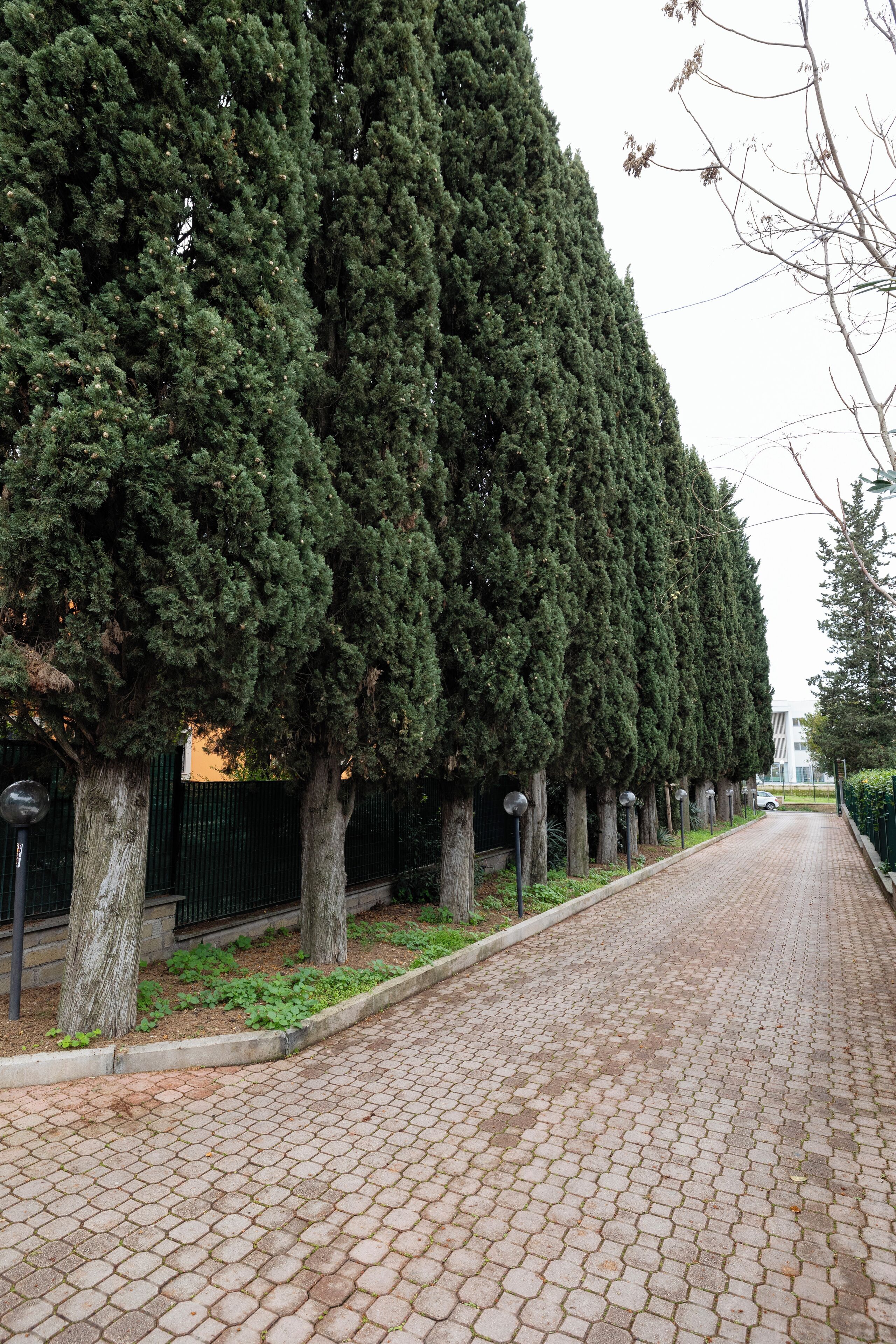 Foto - Scheppers Hotel