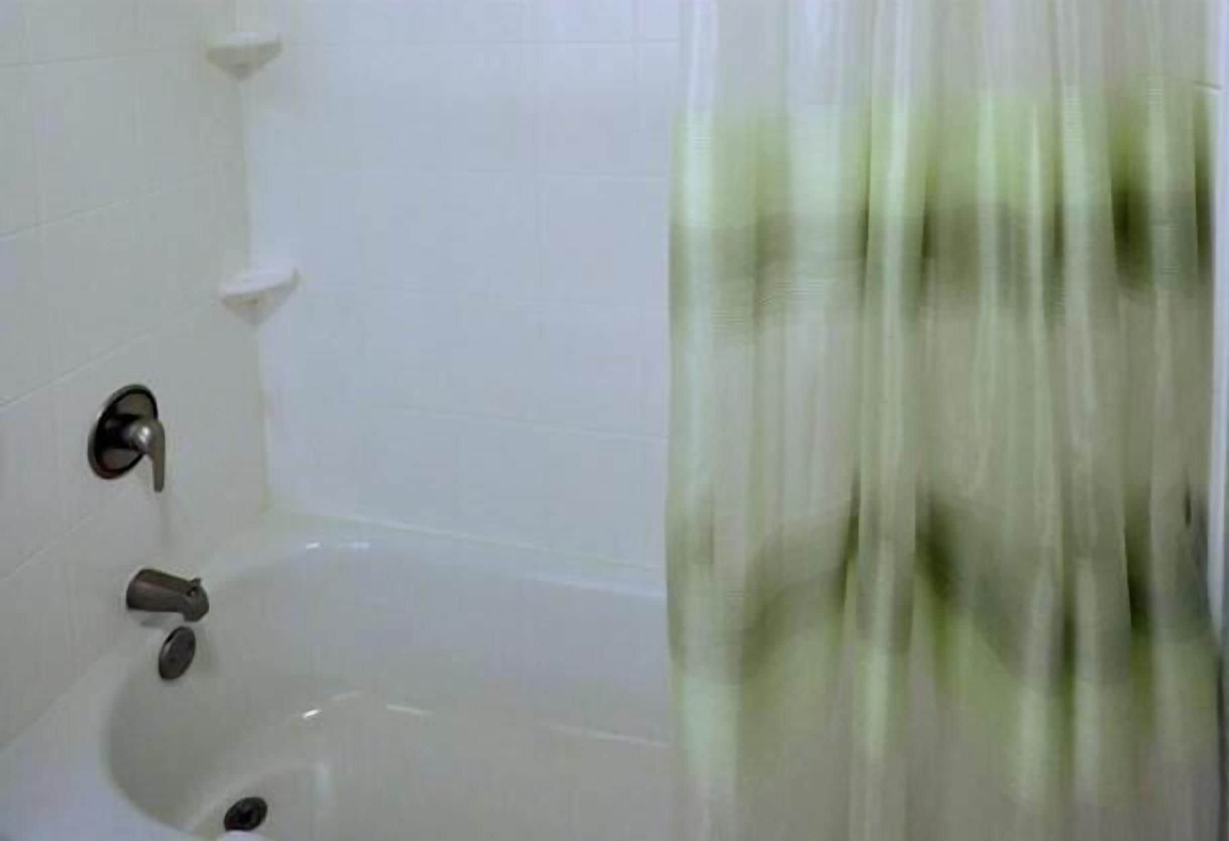 bathtub, free toiletries, hair dryer, bidet