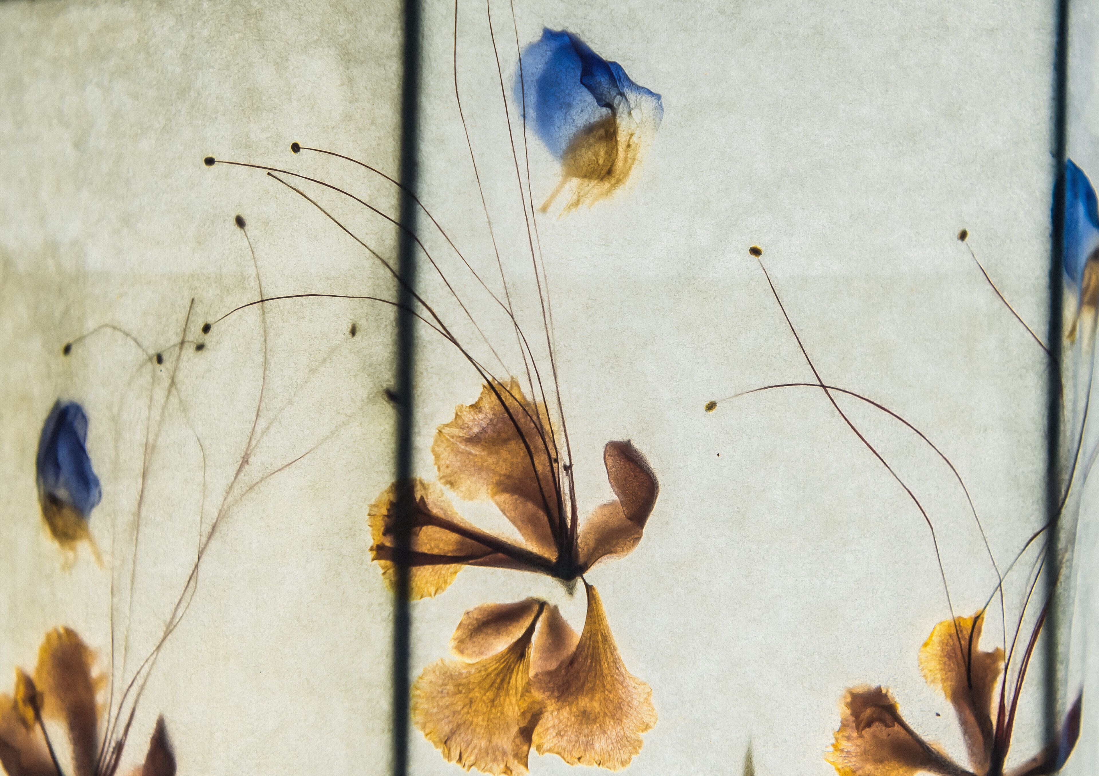 standard room, 1 queen bed | 1 bedroom, hypo-allergenic bedding, minibar, in-room safe