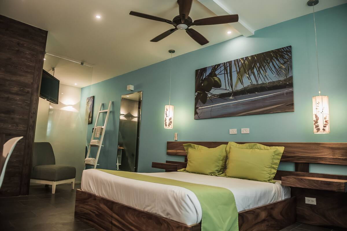 Une chambre à coucher moderne avec un lit, un ventilateur de plafond, une télévision, une chaise et un tableau au mur.