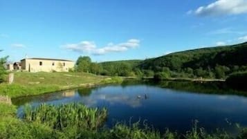 A serene riverside setting with a building on the left and lush greenery on the right.