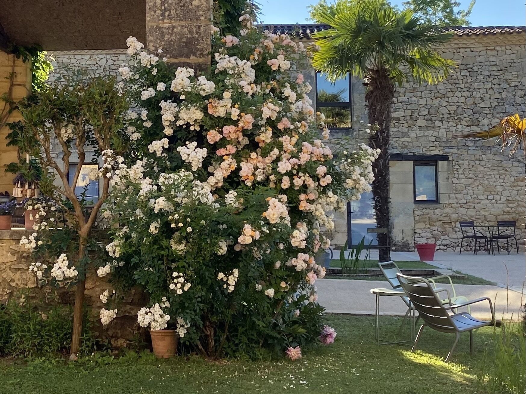 A stone building with a garden area featuring a large flowering bush and a palm tree.