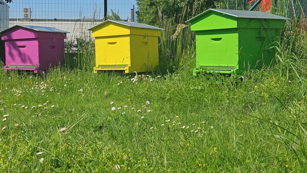 Exterior - Hotel de la Brière (ancien Campanile) (Trignac)