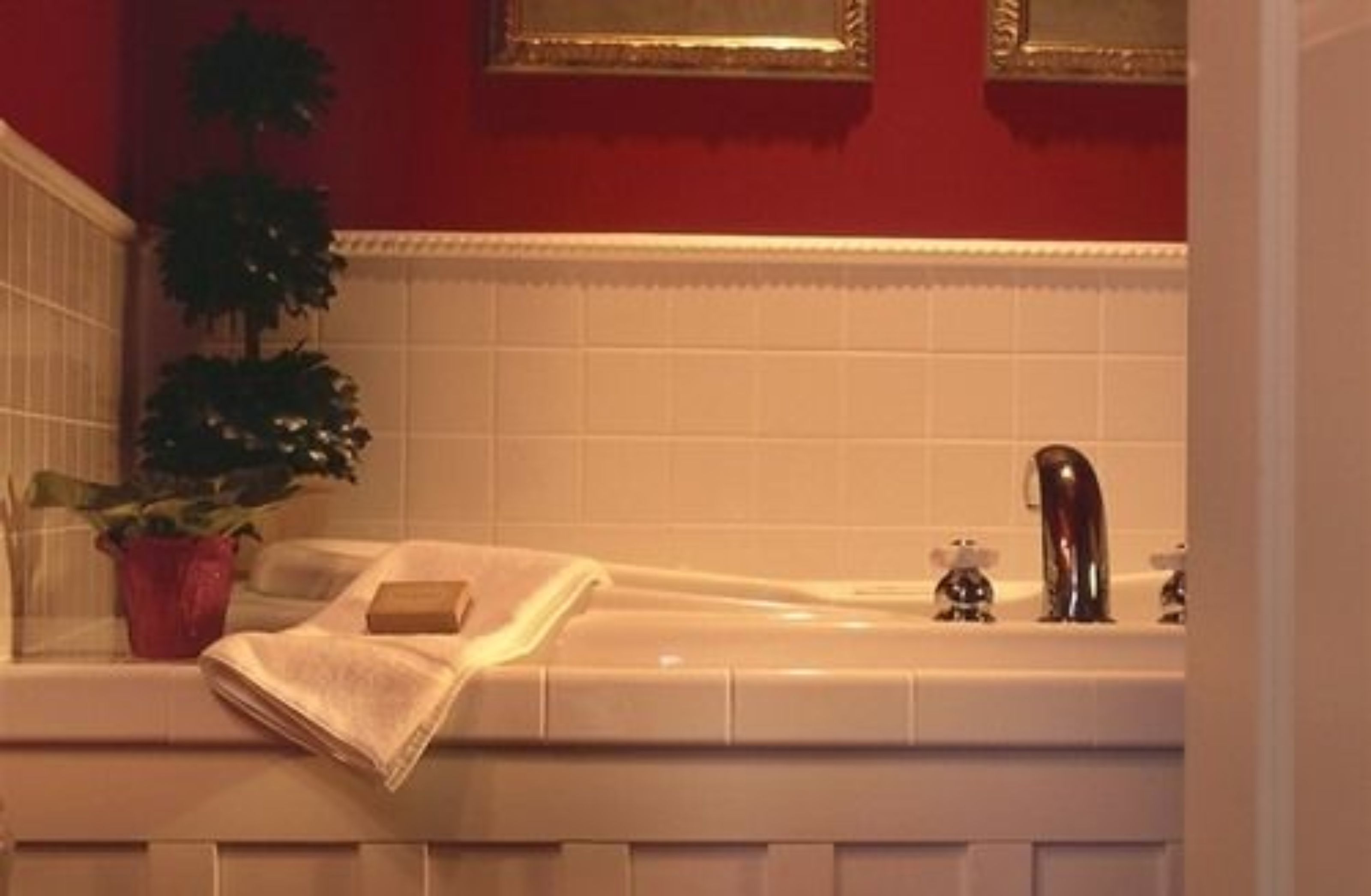 Un baño con una bañera blanca, una planta en maceta y una toalla al borde.