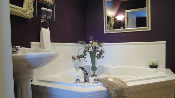 A bathroom with a white sink, a bathtub, a mirror, and a vase with flowers. - Beacon Inn at Sidney (Sidney)