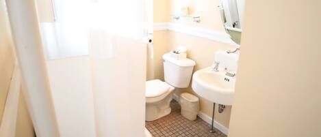 A bathroom with a toilet, sink, and shower area.