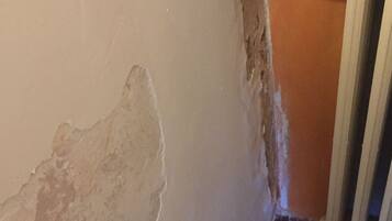 Lunch and dinner served, Regional cuisine