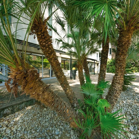 Exterior. Hotel Villa Maria Regina