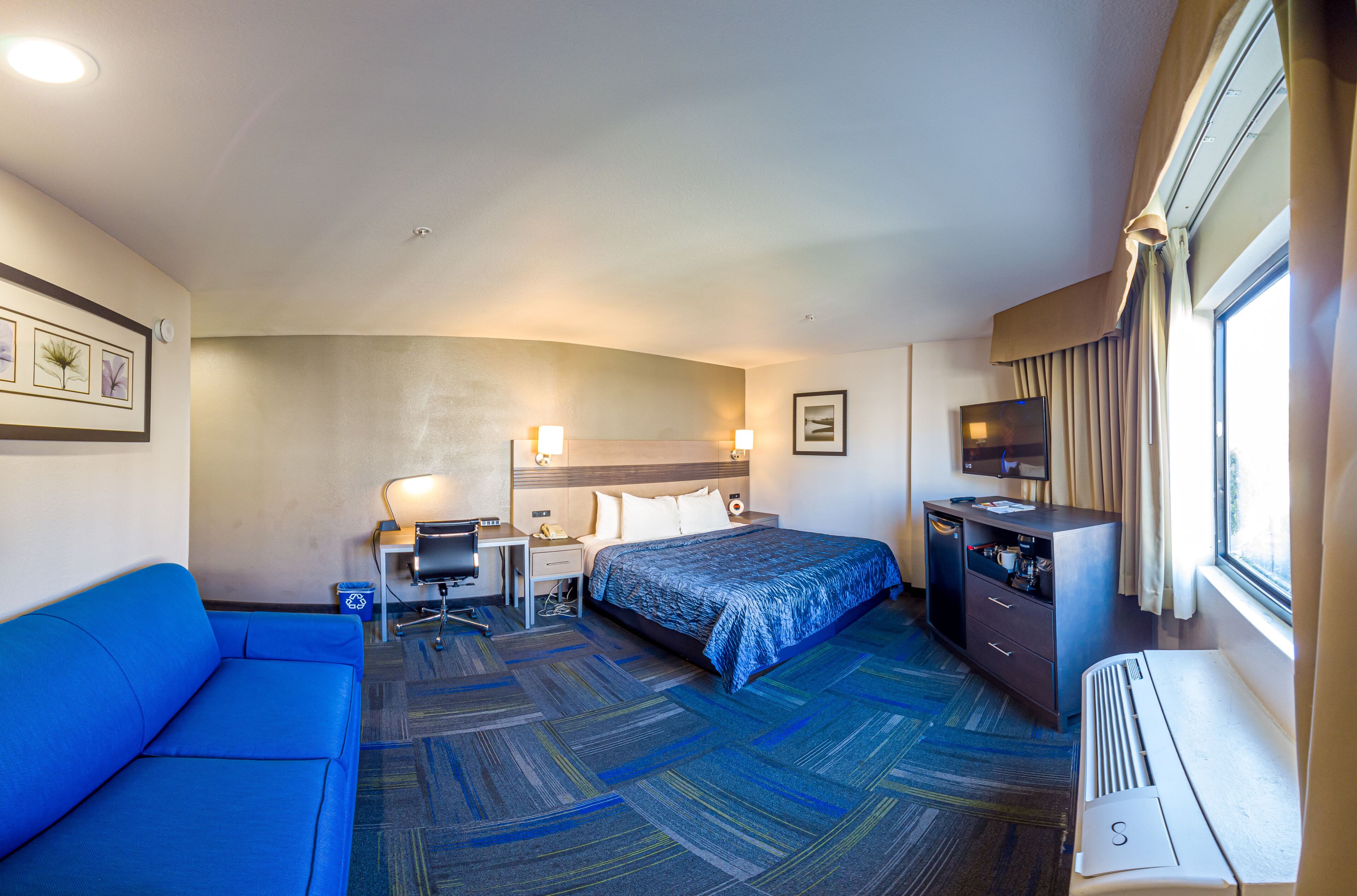 A hotel room with a bed, a desk, a chair, a sofa, and a TV.