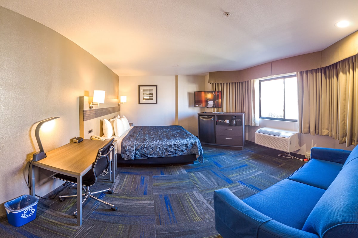Une chambre d’hôtel avec un lit, un bureau, une chaise et un canapé bleu.