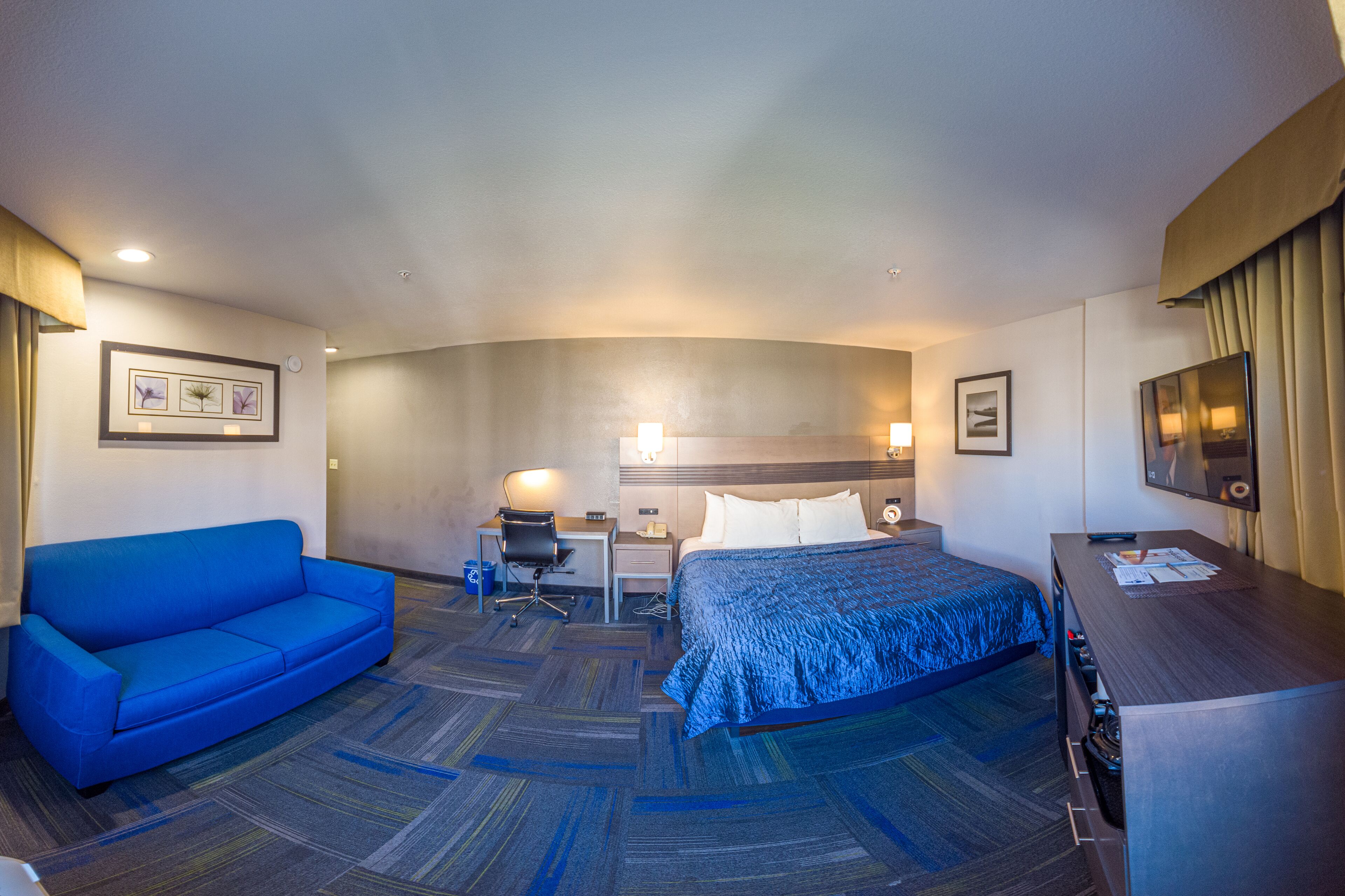 Une chambre d’hôtel avec un lit, un bureau, une chaise, un canapé bleu et un téléviseur.