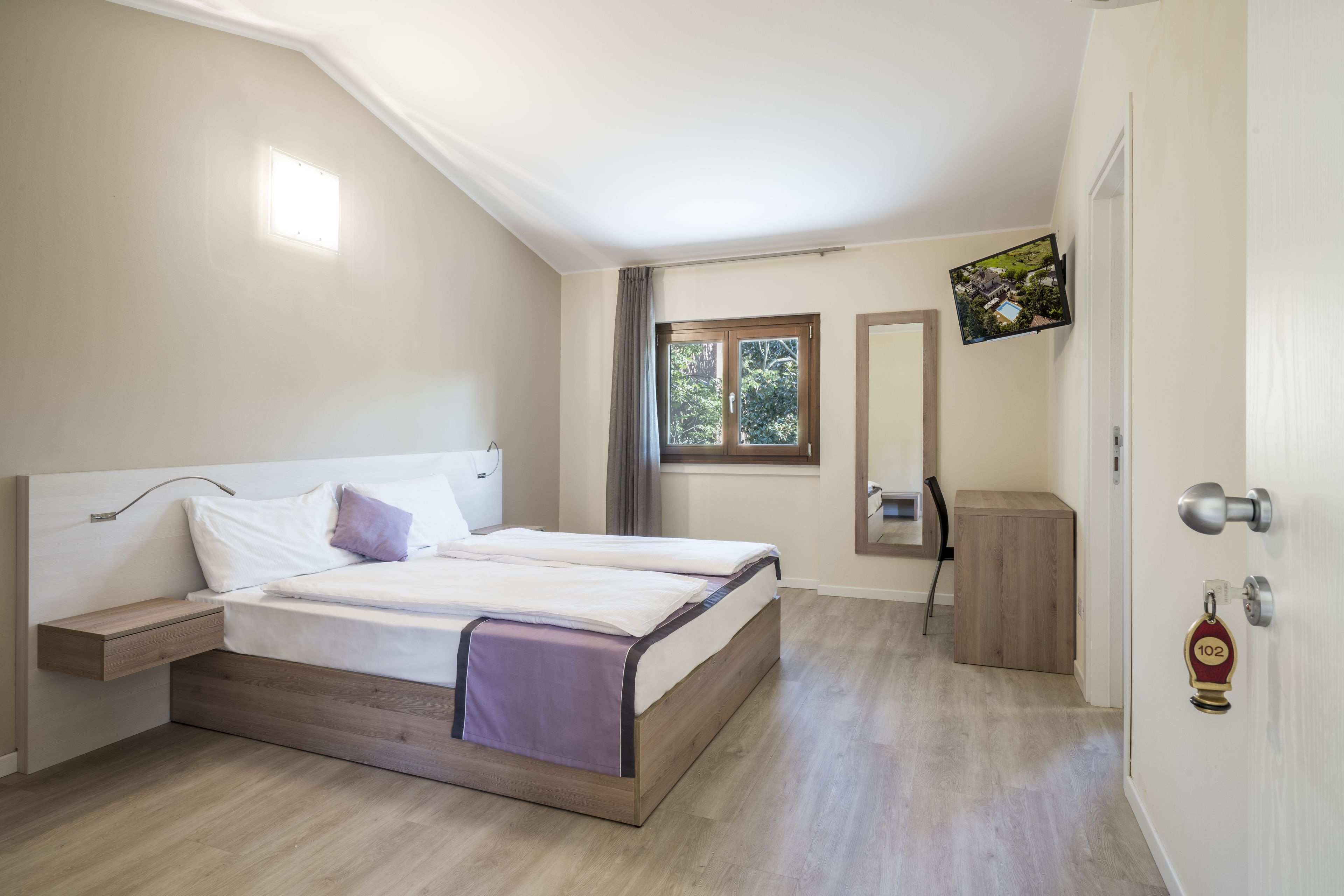 standard room | 1 bedroom, down duvets, desk, soundproofing