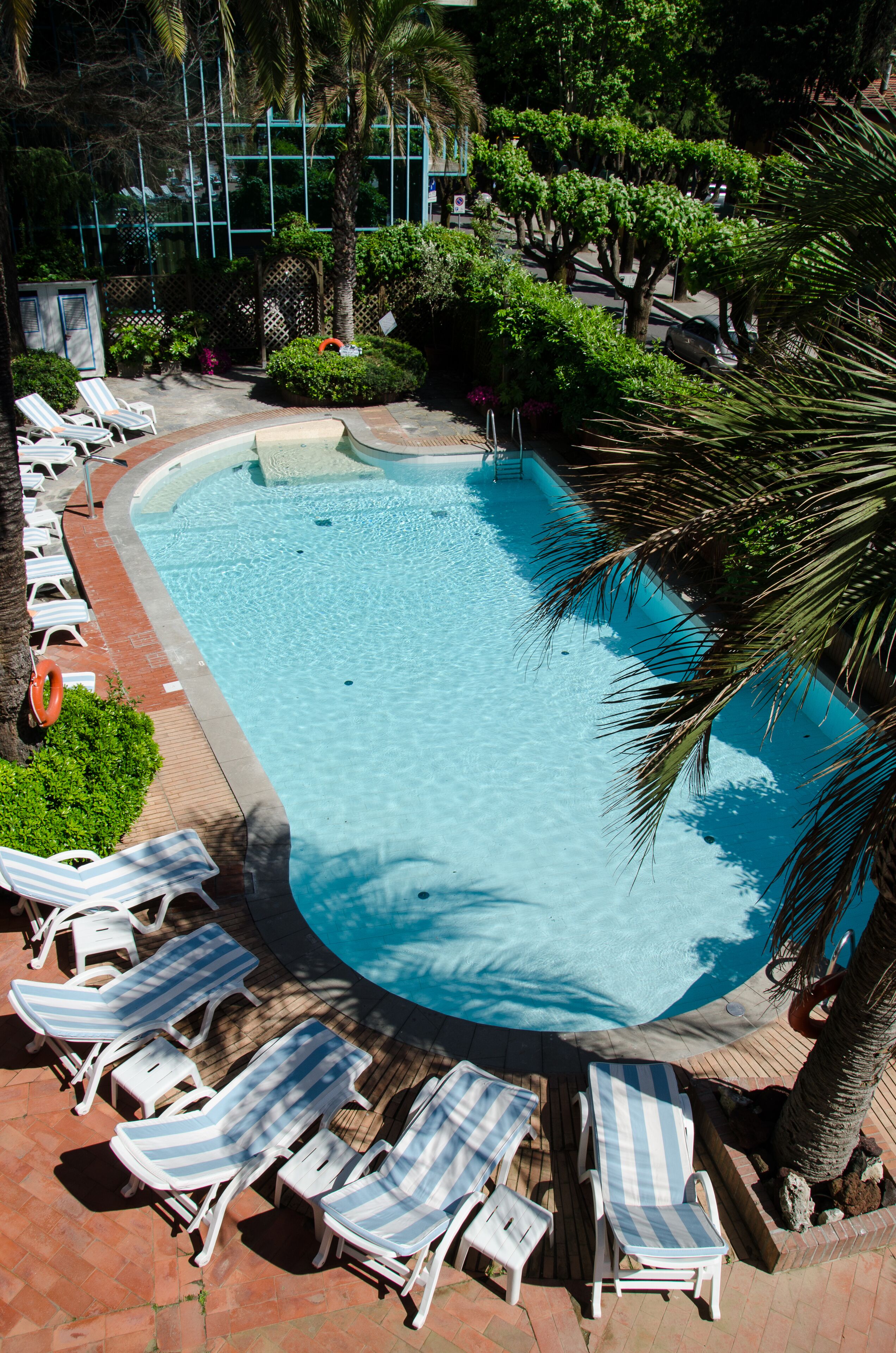 A swimming pool with lounge chairs and palm trees.