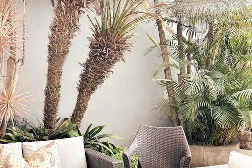 Terraza o patio