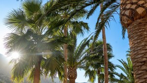 A sign for Belvedere Royal & Spa Hotels with palm trees and a clear sky in the background. - Royal & Imperial Belvedere Resort - All inclusive (Hersonissos)