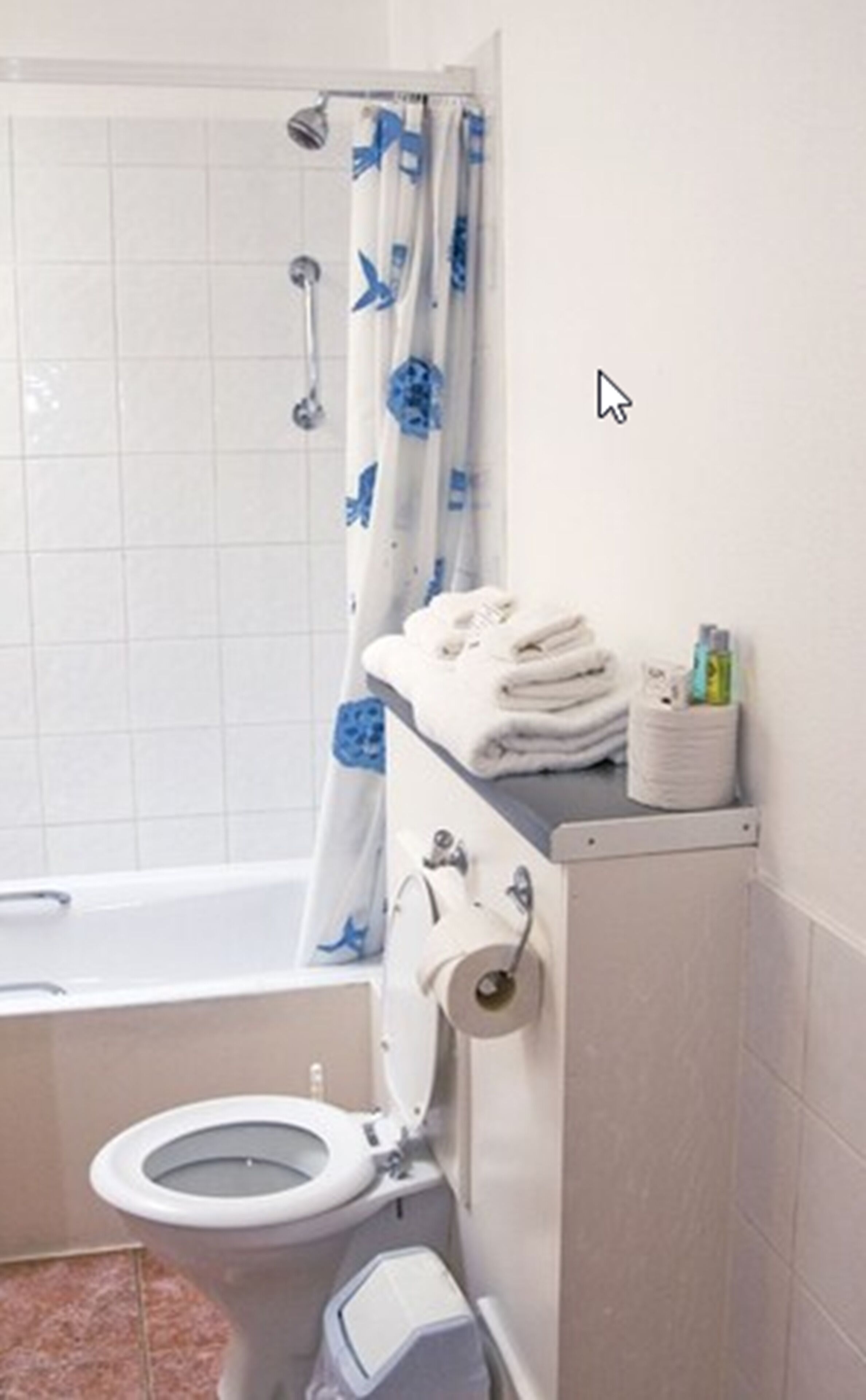 combined shower/bathtub, free toiletries, hair dryer, towels