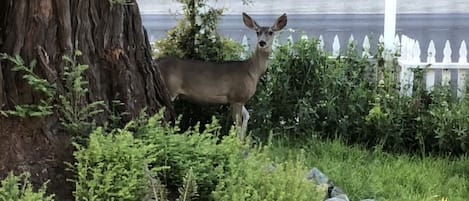 Blick von der Unterkunft