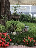 Vistas desde el alojamiento