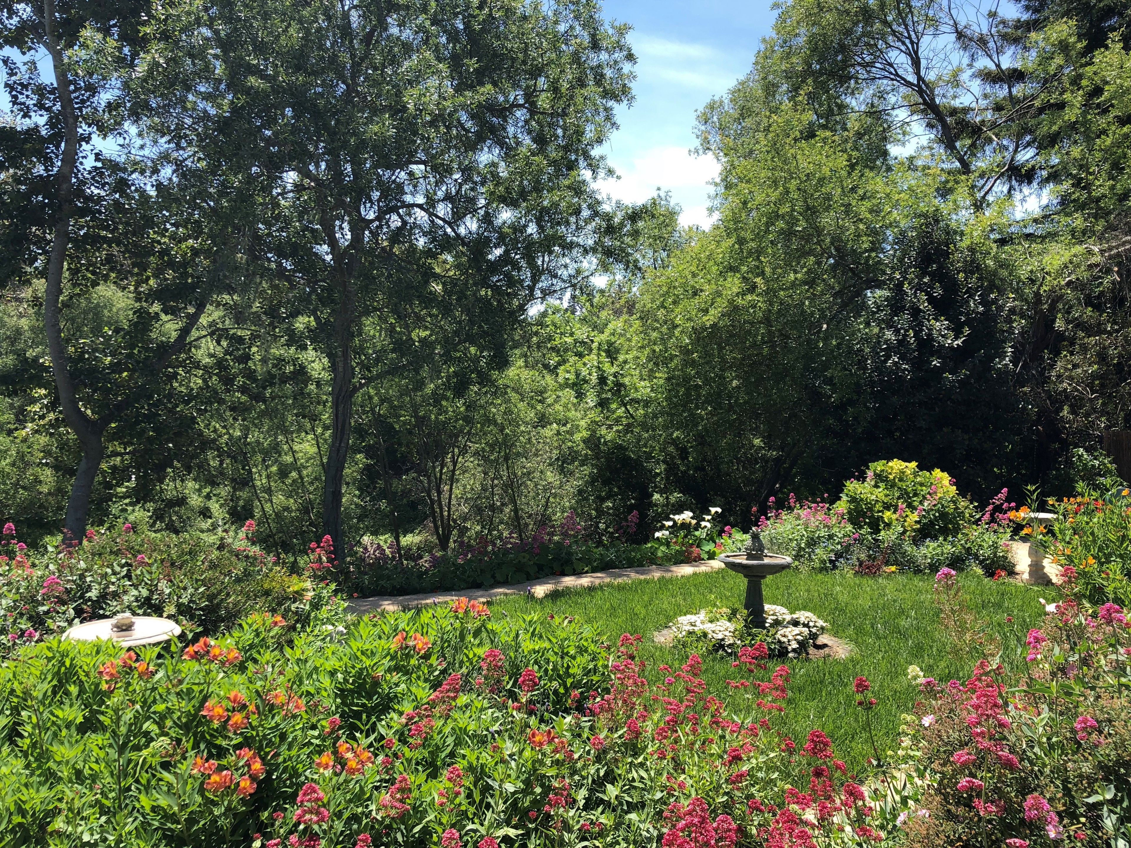 Vista desde la propiedad