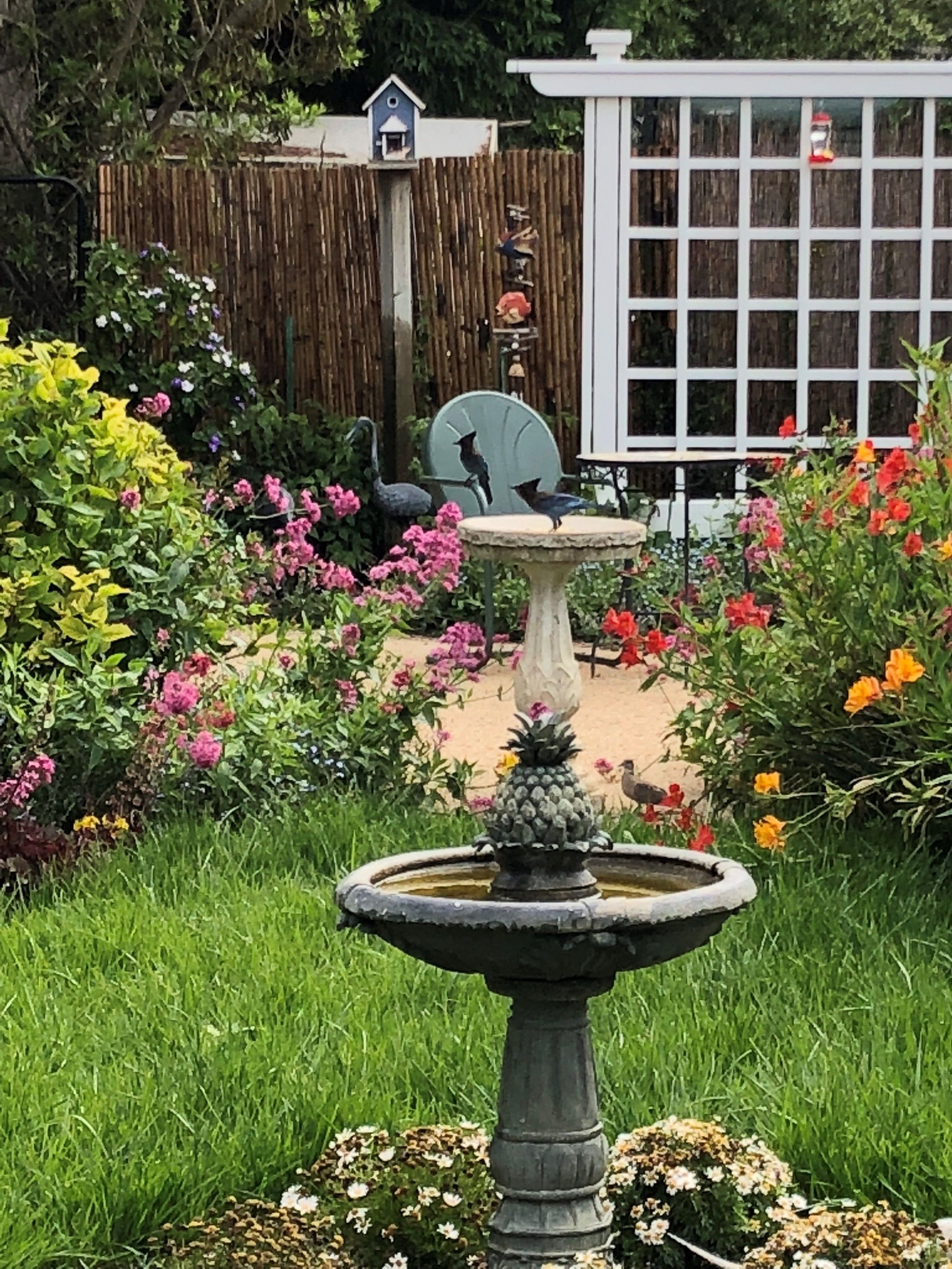 A garden with a bird bath, various flowers, and a wooden fence.