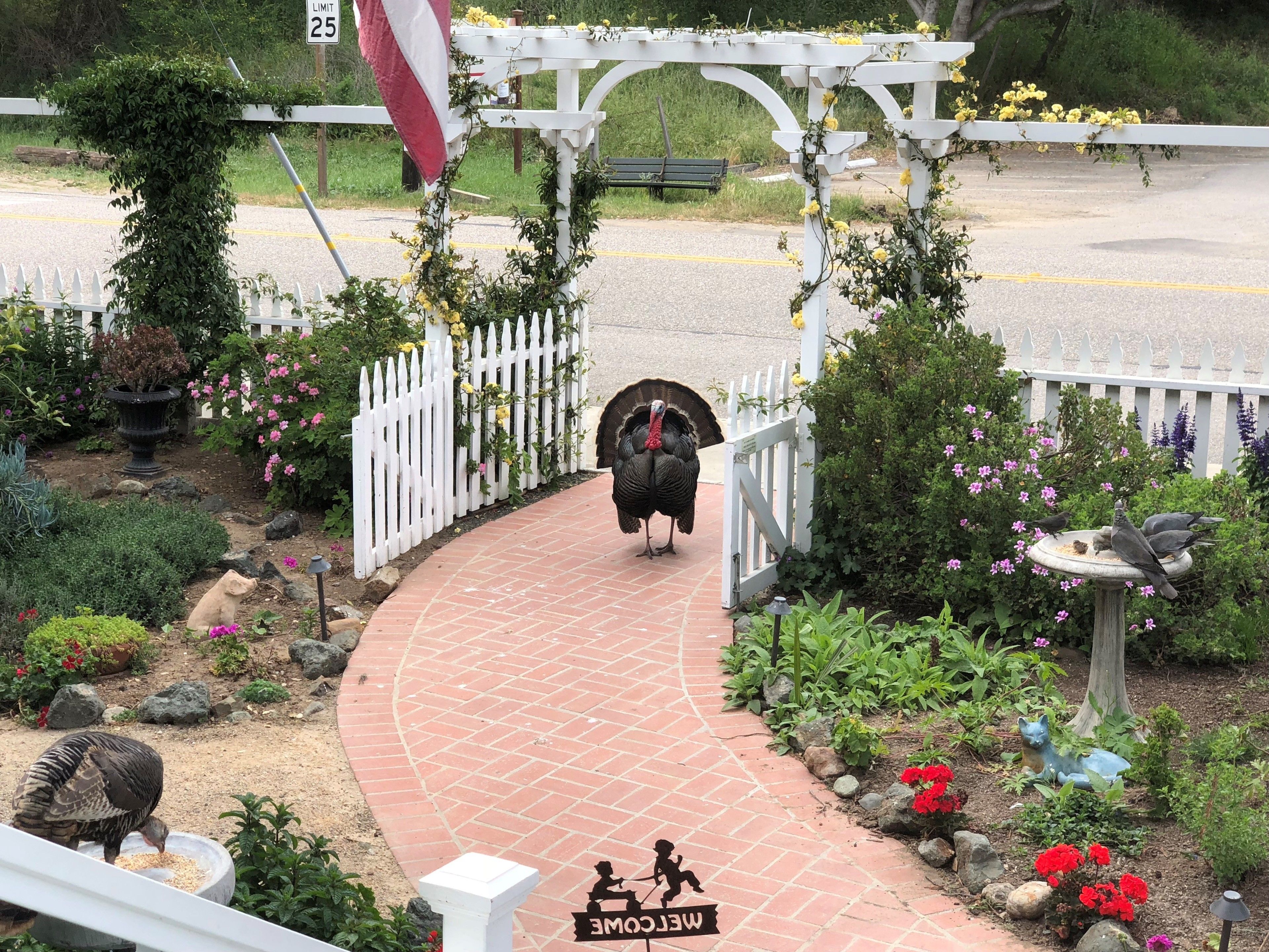 Πρόσοψη καταλύματος