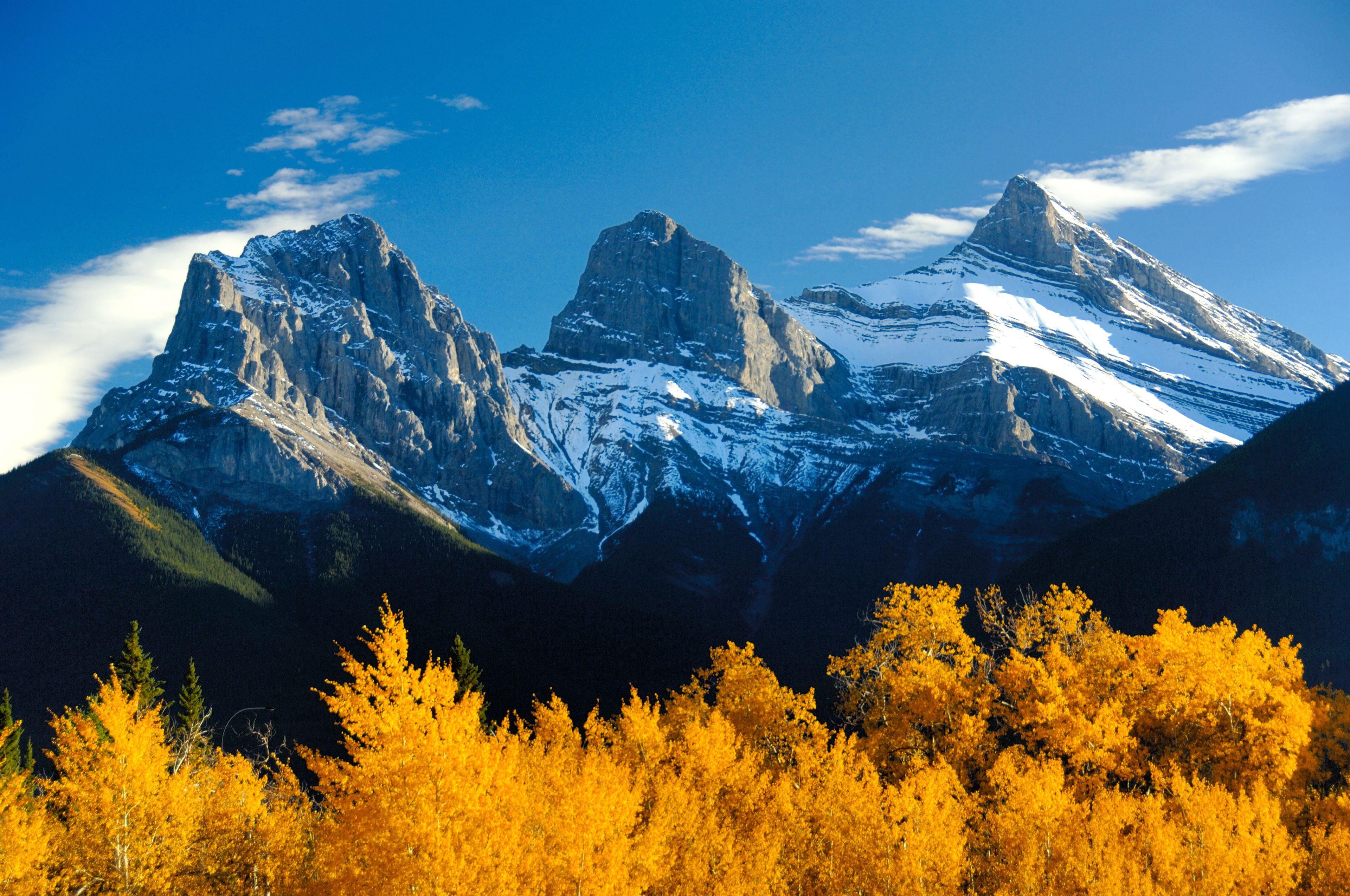 Paisaje de montaña con picos nevados y árboles con colores otoñales en primer plano.