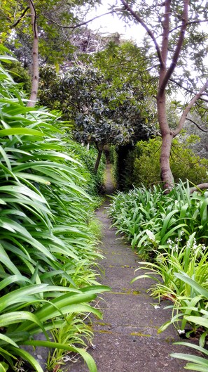 Jardín