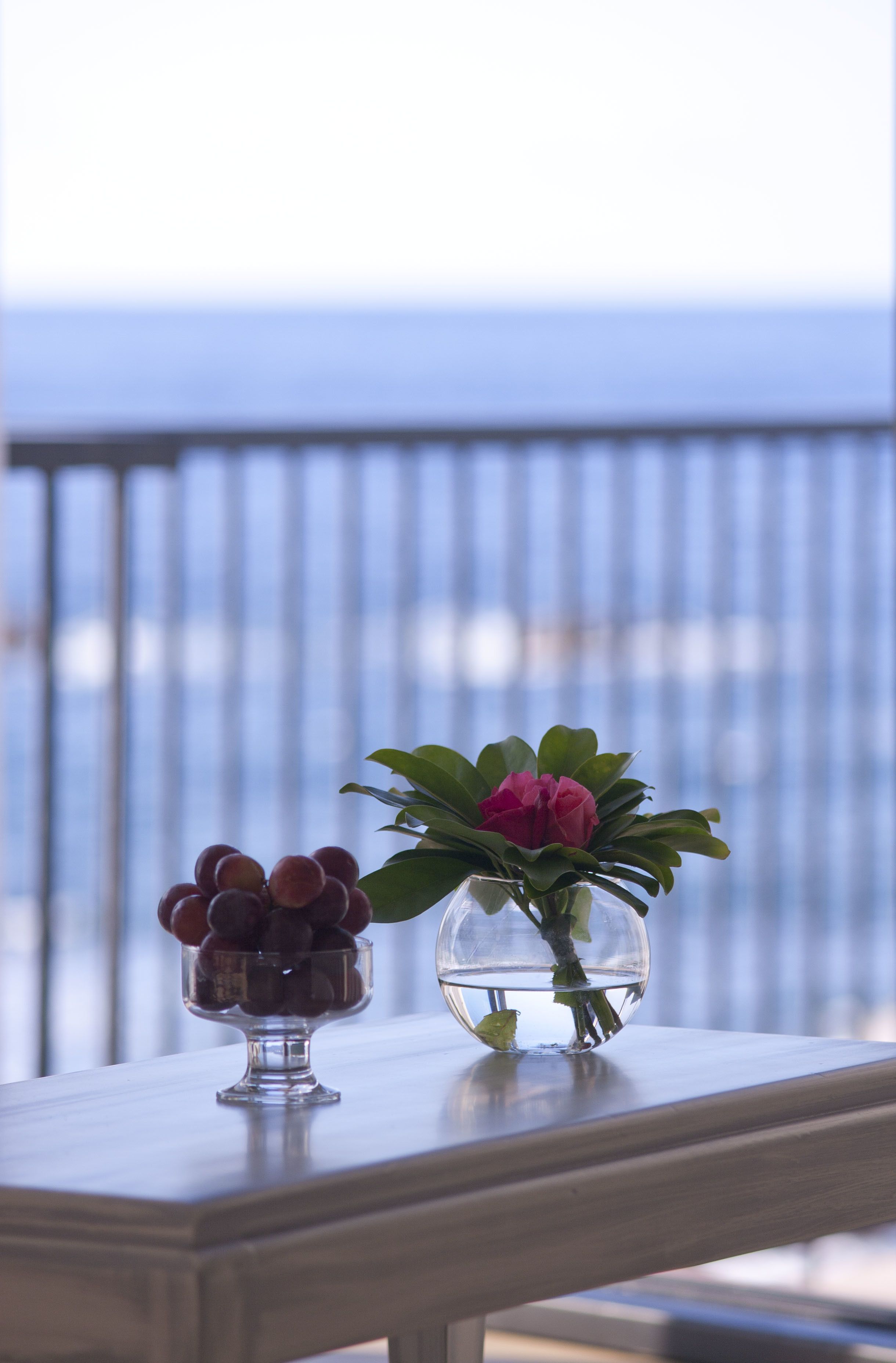 suite | view from room